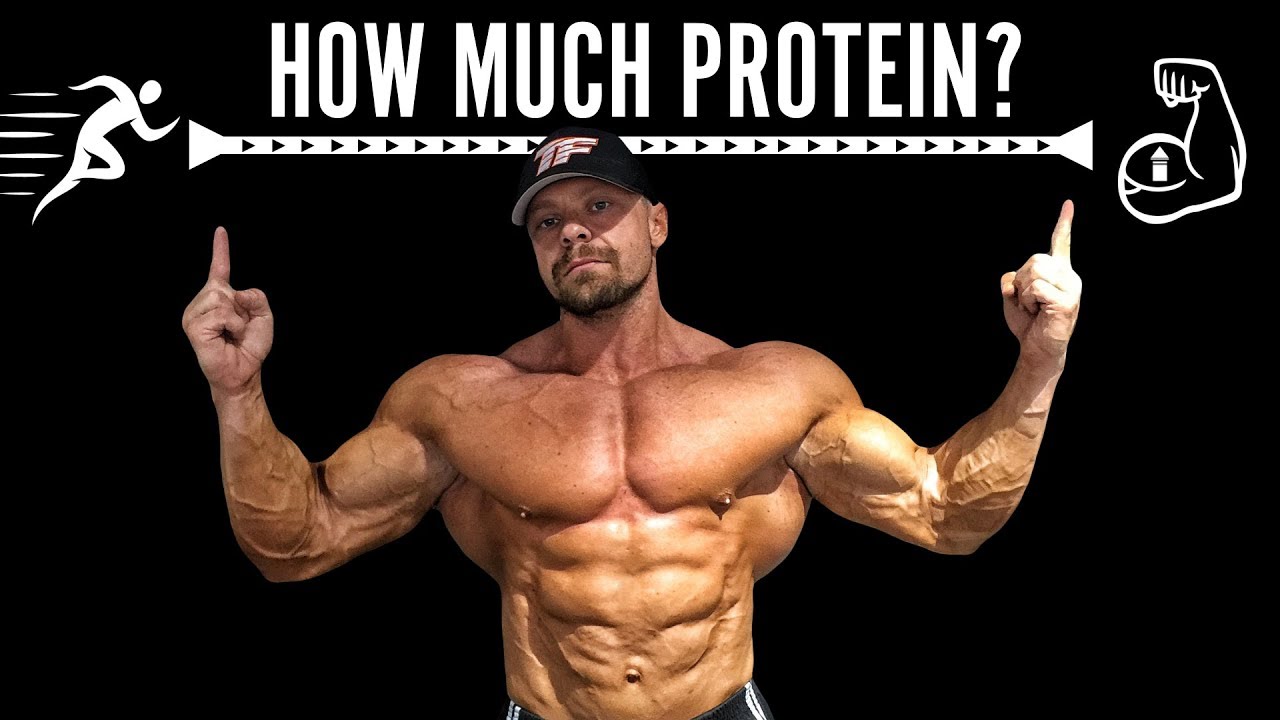 How Much Protein Is Too Much In Bodybuilding?