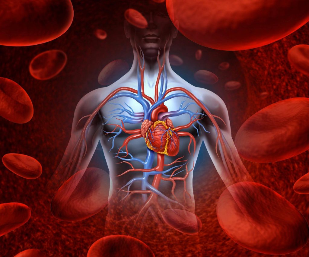 top-10-natural-and-easy-ways-to-improve-blood-circulation