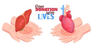 Liver Donation