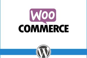 Wordpress Woocommerce Themes