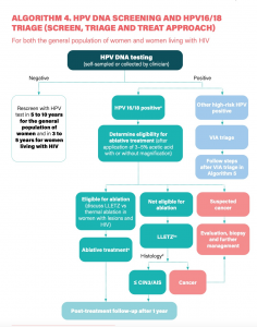 HPV DNA Diagnostic Kit