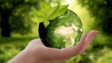 EcoPlus