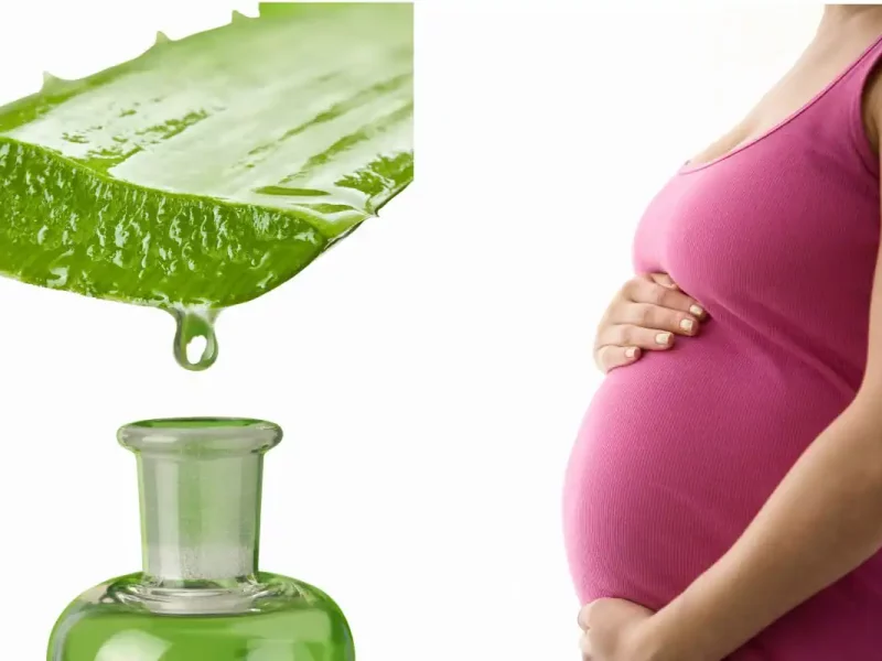 Aloe Vera Pregnancy