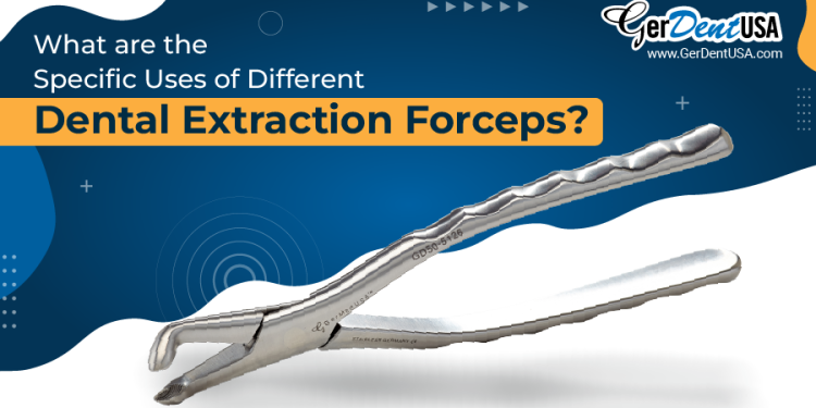 Dental Extraction Forceps
