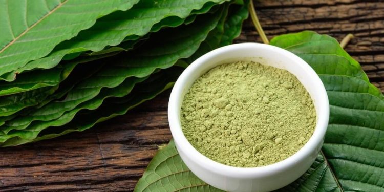 Kratom Powder