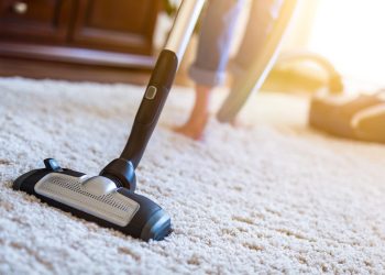 how to get bed bugs out of carpet