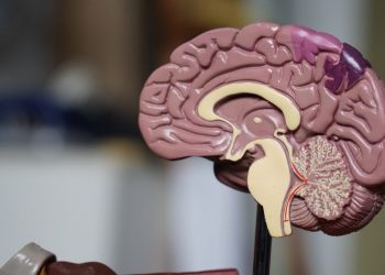 Brain Health & The Advancements in Neurosurgery Techniques and Procedures