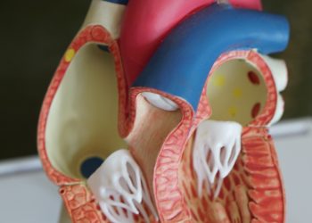 How Long Does Medical Detox Take?