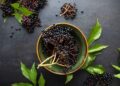 Black Elderberry as a Supplement