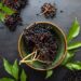 Black Elderberry as a Supplement