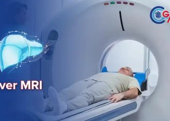 Everything You Need to Know About the Liver MRI