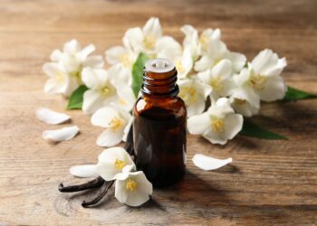Vanilla Essential Oil