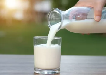 WellHealthOrganic Buffalo Milk