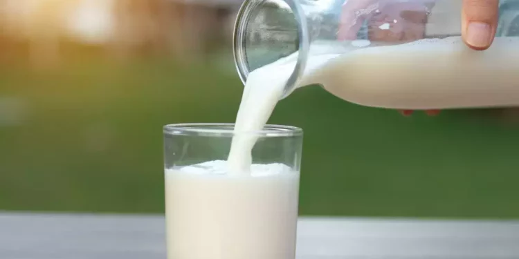 WellHealthOrganic Buffalo Milk