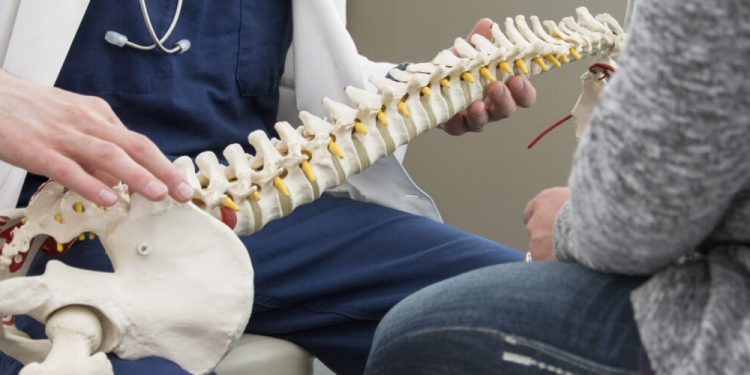 physical therapy and chiropractic