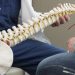 physical therapy and chiropractic