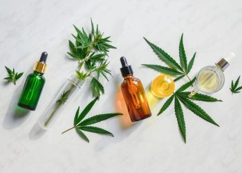 cbd wholesalers
