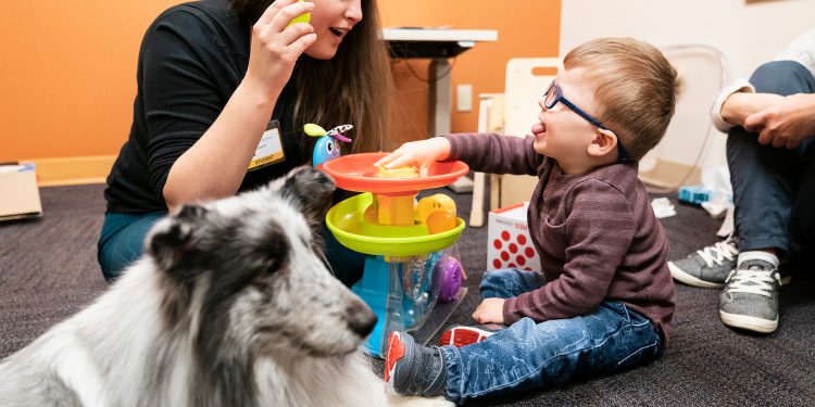 Animal Assisted Therapy