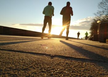 Eugenio Pallisco Michigan