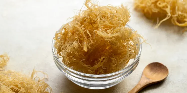 Sea Moss
