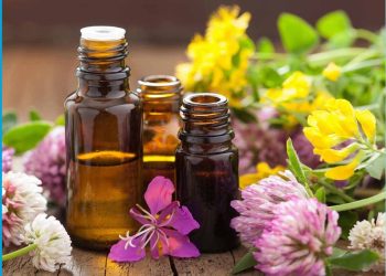 A Comprehensive Guide to Olfactory Training with Essential Oils