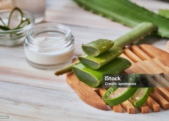 5 Ways To Use Medicinal Herbs At Home