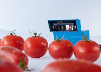 Barcode Scanners in the Food Industry