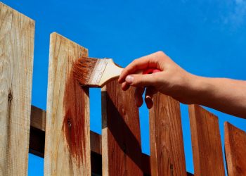 Cedar Fence Stain vs. Paint