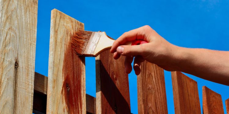 Cedar Fence Stain vs. Paint