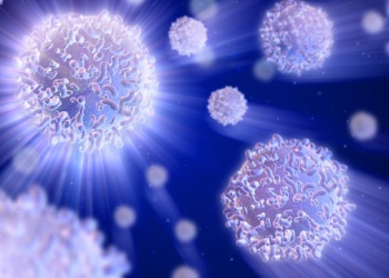 Cellular Cartography