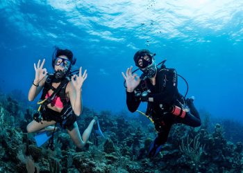 Certified Scuba Diving Instructor