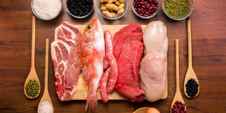 High-Quality Protein Sources