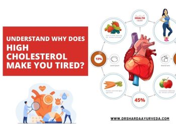 Understand why does high cholesterol make you tired?