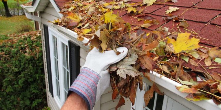 Wet Leaves Can Cause Damage to Your Roof