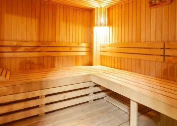 Home Steam Sauna Pods