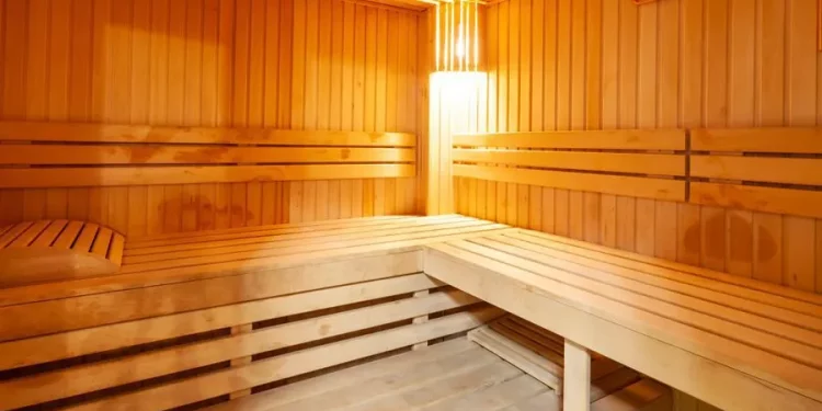 Home Steam Sauna Pods