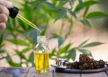 CBD OIL