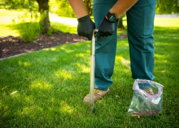 Commercial Lawn Care Services