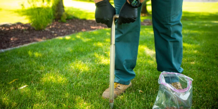 Commercial Lawn Care Services