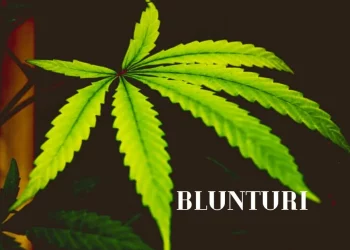 Blunturi