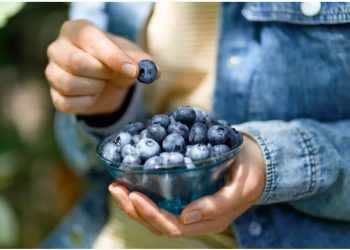 Benefits of  Blueberries for men’s health