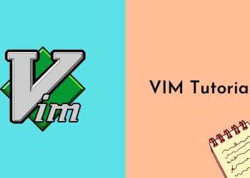 Key Factors to Consider When Choosing a Suitable Vim Course| Vimified