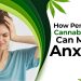 How Personalized Cannabis Strains Can Manage Anxiety