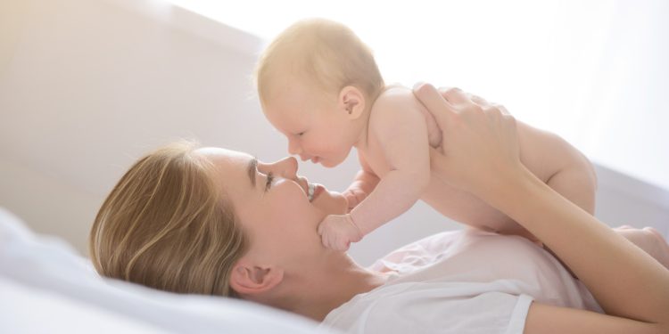 HiPP Dutch infant formula