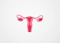 Pap Smears Are Crucial for Women's Health