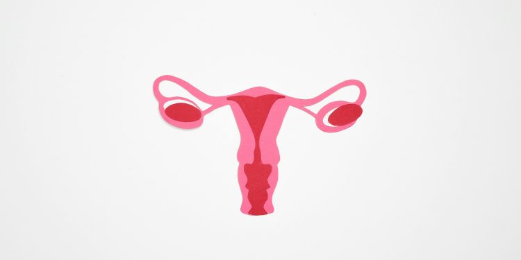 Pap Smears Are Crucial for Women's Health