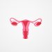 Pap Smears Are Crucial for Women's Health