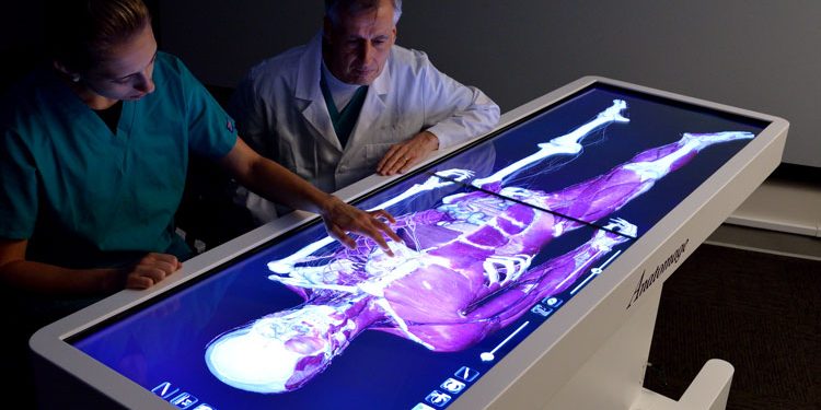 Virtual Dissection Tables