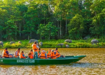 Explore Nature Tourism in the Heart of Borneo - Indonesia Travel