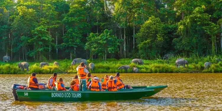 Explore Nature Tourism in the Heart of Borneo - Indonesia Travel